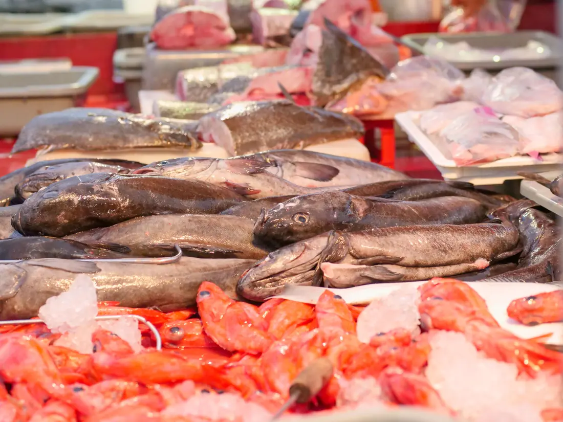 A refrigerated fish counter