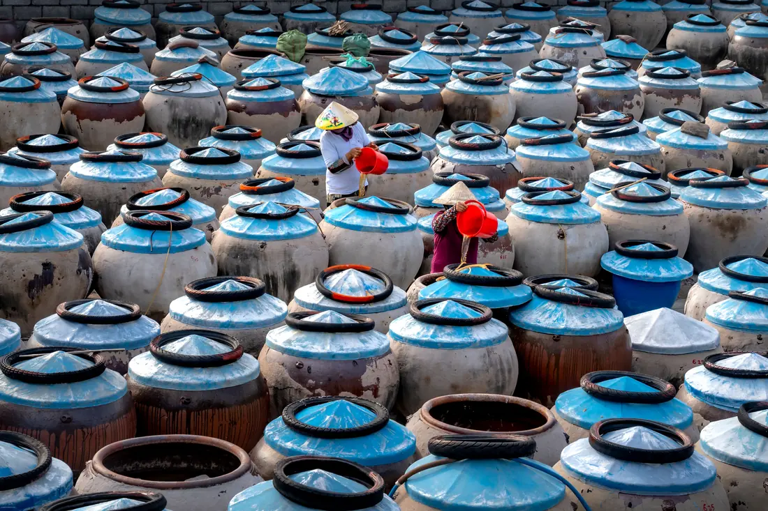 Rows of ceramic fermenting jars
