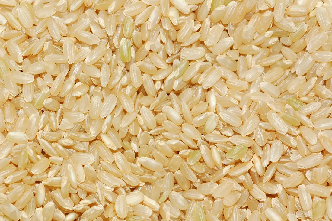 Rice grains, close up