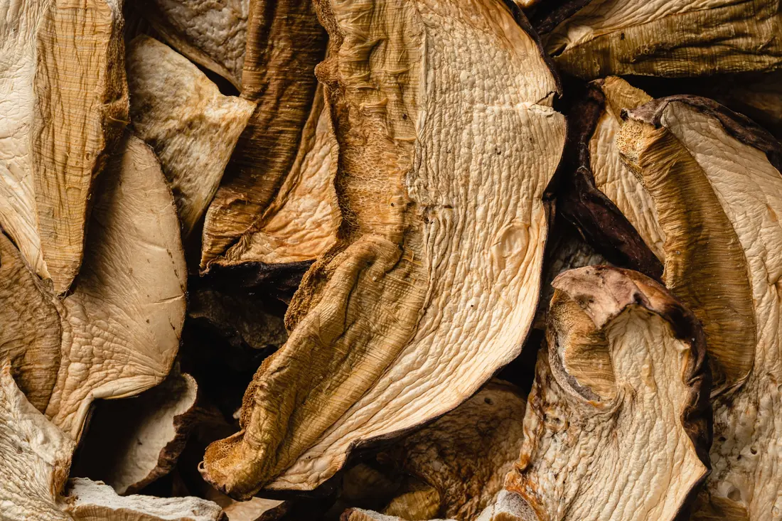 Dried mushrooms, shrivelled and dark