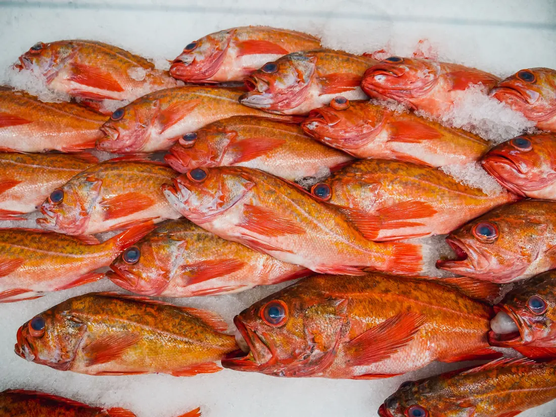 Whole fish laid out on ice at a market