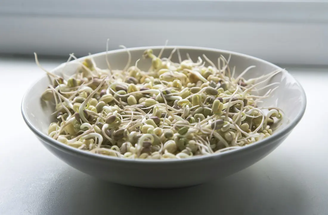 A bowl of bean sprouts