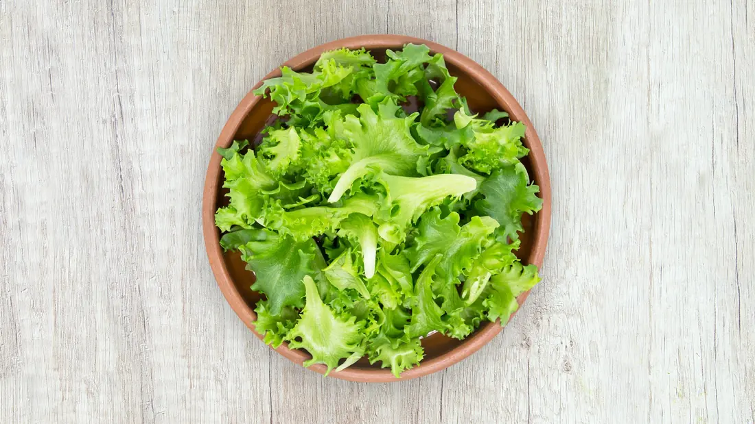 A simple green salad in a bowl