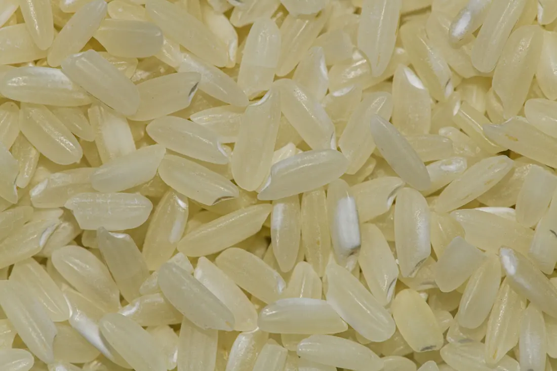 Raw white rice grains, close up