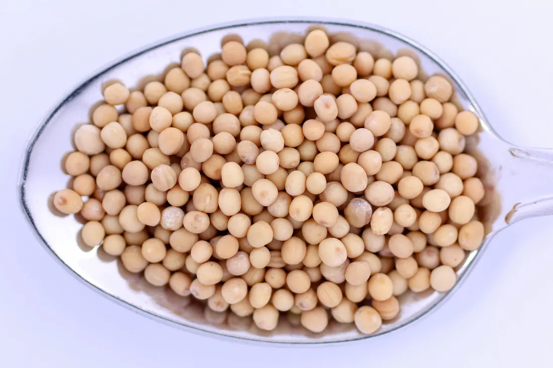 Pale round seeds in a spoon