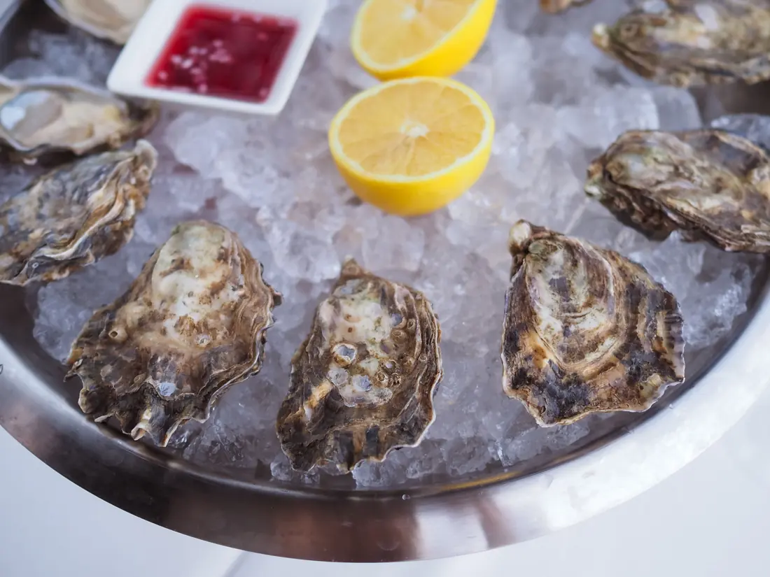 Fresh oysters on ice