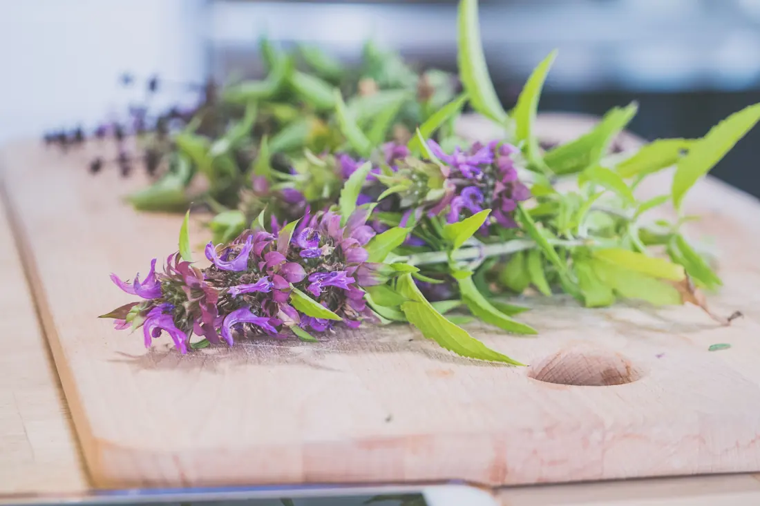 Flowering herb stems on a board