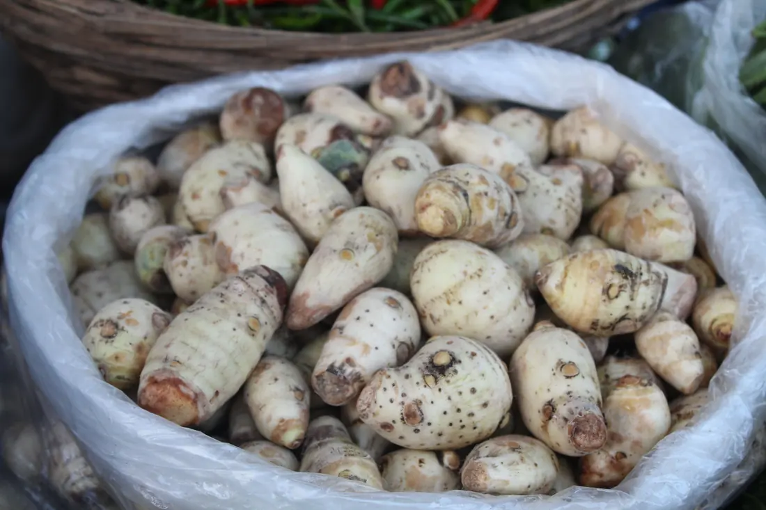 Pale knobbly roots in a sack at a market