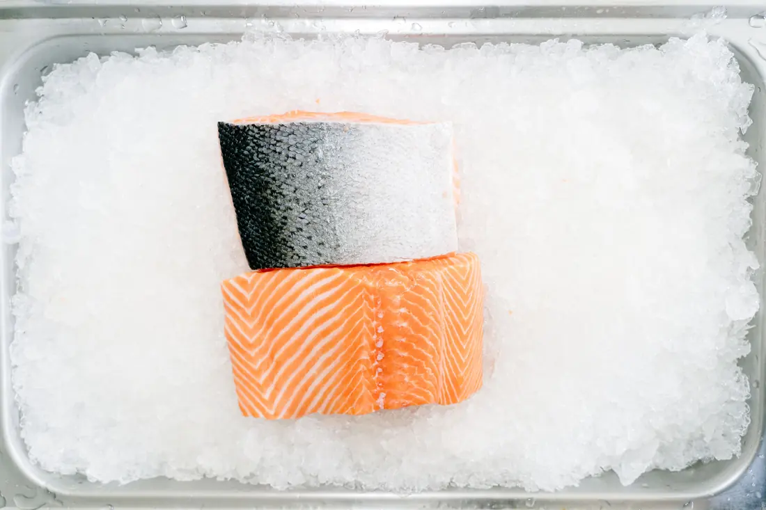 Cuts of raw salmon resting on ice