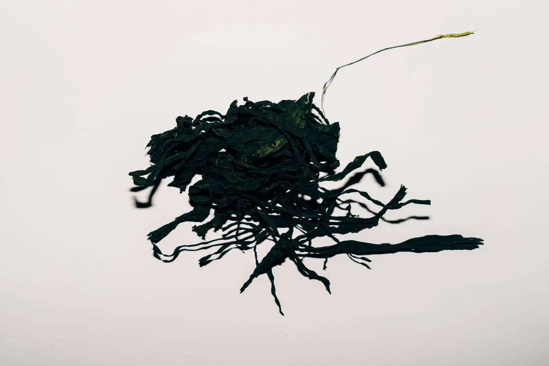 A tangle of dried seaweed