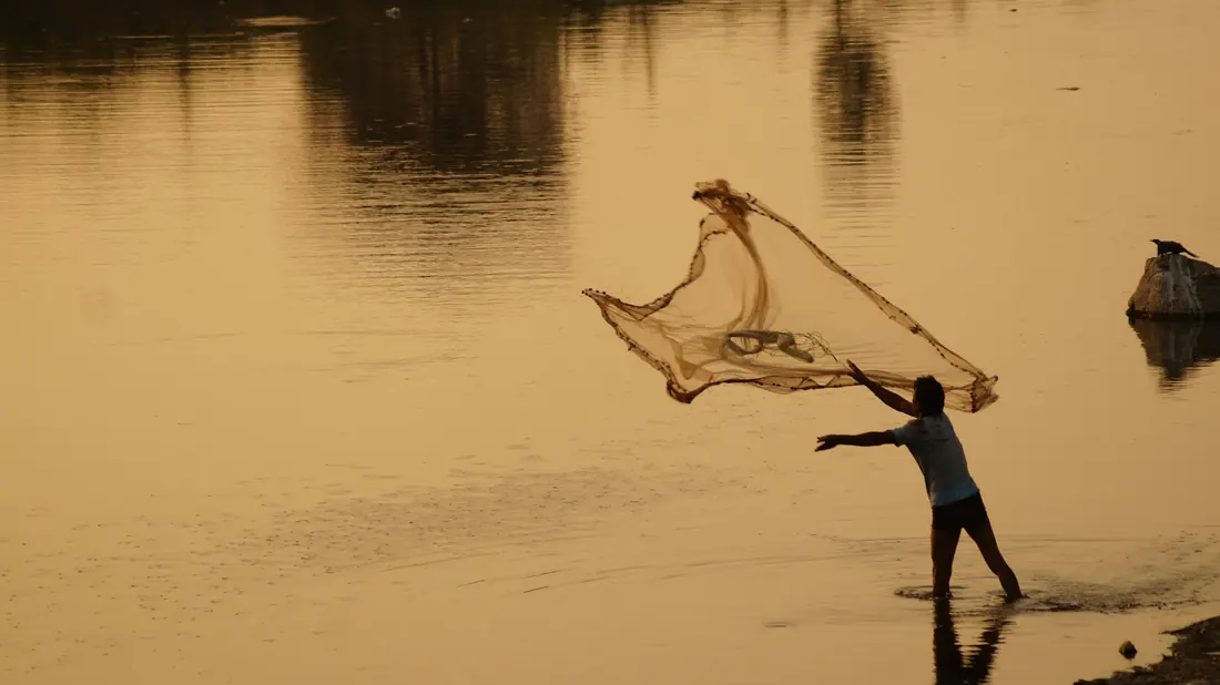 A fisherman casting a net at dusk