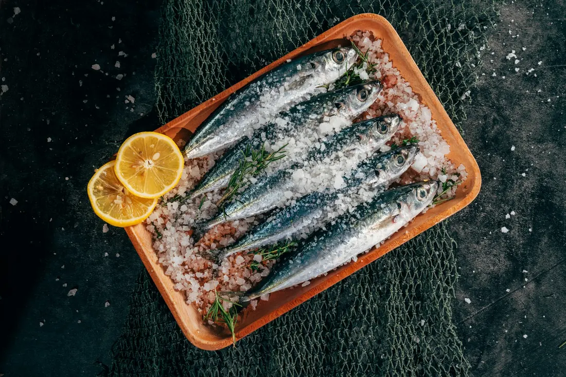 Small silver fish packed with salt