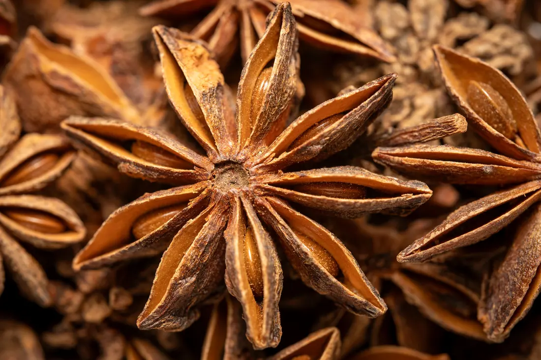 Star anise pods, close up