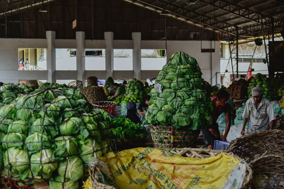 Cabbages stacked at a market